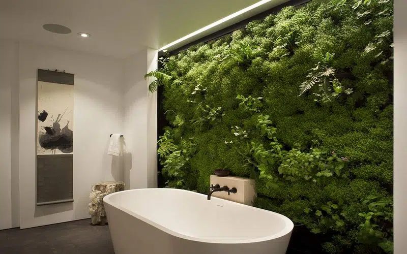 Best Renovation