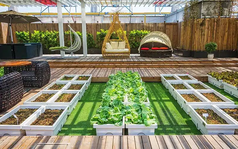 Outdoor & Garden Renovation