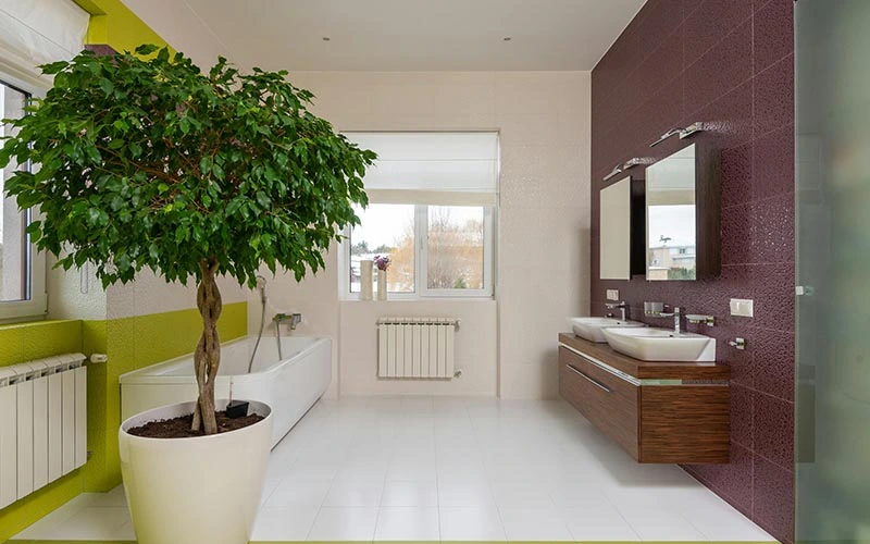 Bathroom Transformation