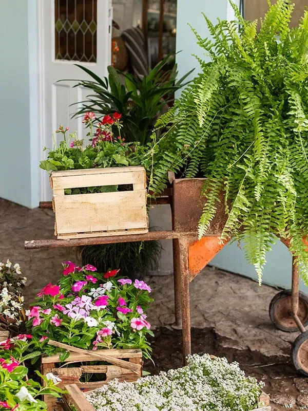 Jumeirah Lakes Towers Home Renovation -Garden