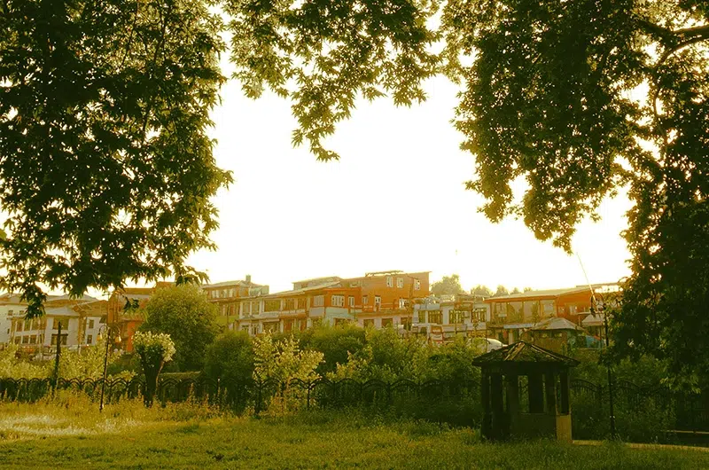 Al Barari Sustainable Home Remodeling Company-Outdoor Living Spaces