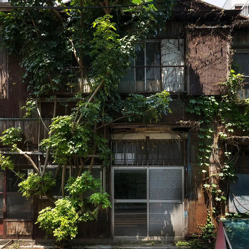 Al Barari Sustainable Home Remodeling