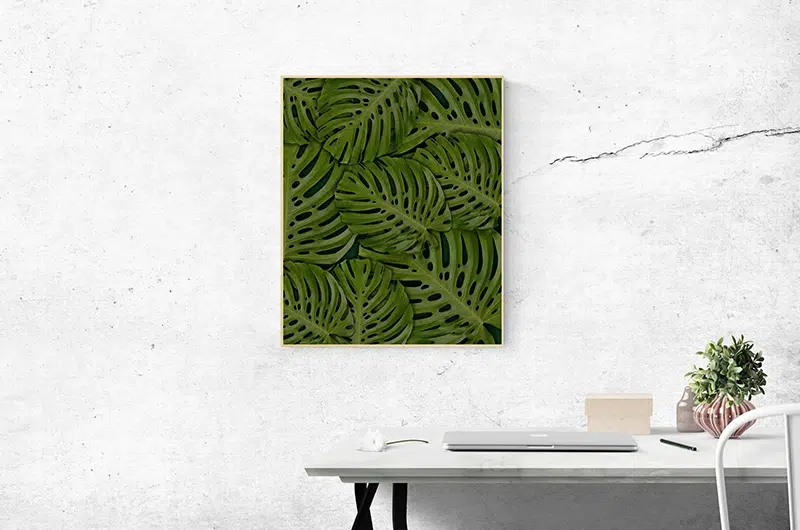 Green Interior Design-Al Barari Sustainable Home Remodeling Company